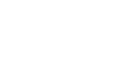 Chế độ phúc lợi hấp dẫn