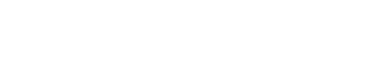 自社独自応募